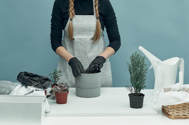 Frau pflanzt Zimmerpflanzen und Blumen in Erde und Töpfen