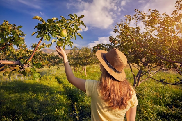 Frau pikiert Apfel im Garten