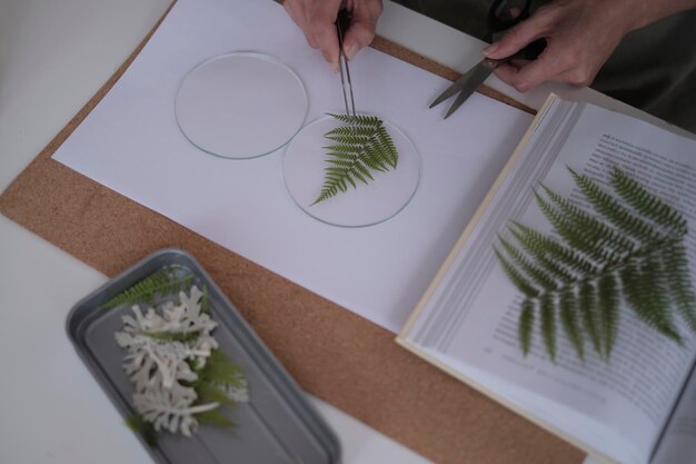 Foto frau repariert glasplatten. ein bild von getrockneten blumen