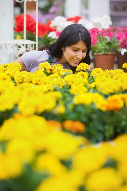 Frau riecht gelbe Blumen