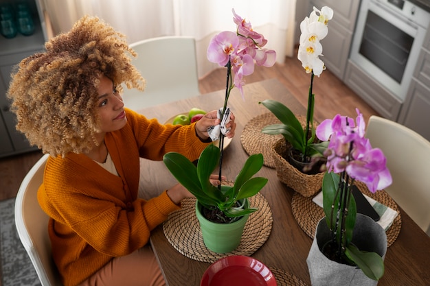 Frau schmückt ihr Zuhause mit Orchideen