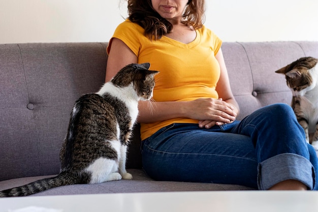 Frau sitzt auf Sofa und schaut Katze an