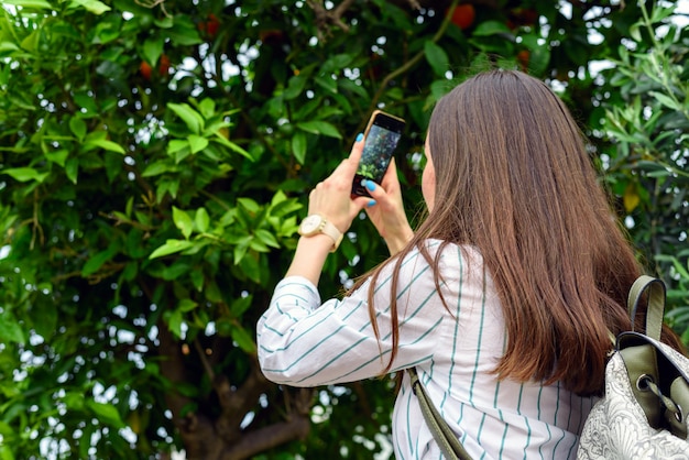 Frau steht am Orangenbaum und fotografiert die Früchte