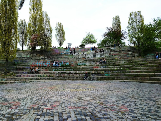 Frau steht auf Baumstamm