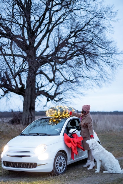 Frau trägt Weihnachtsbaum im Auto