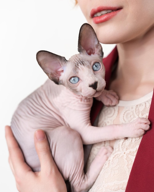 Frau umarmt ihre Brust Sphynx-Kätzchen Selektiver Fokus auf die Augen des Kätzchens geringe Schärfentiefe