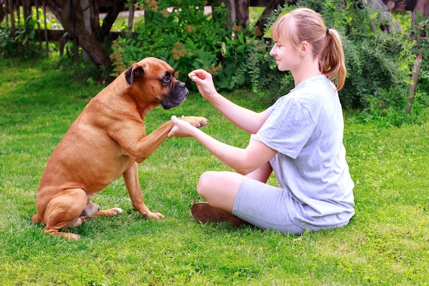 Frau und deutscher Boxer zusammen auf Rasen