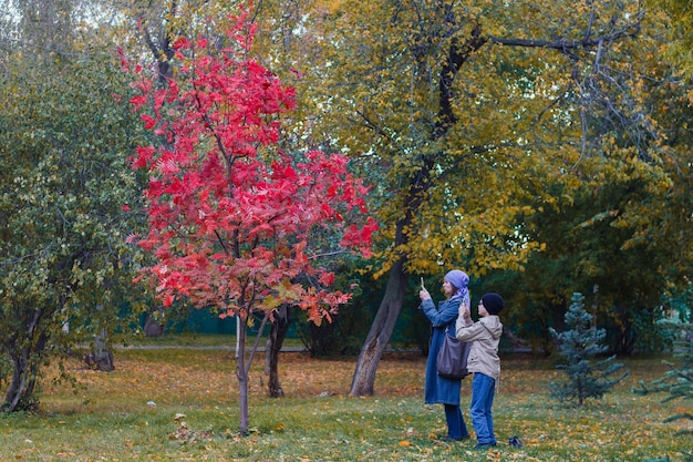 Frau und ihr Kind fotografieren auf dem Handy schöner Baum mit roten Blättern im Park im Herbst