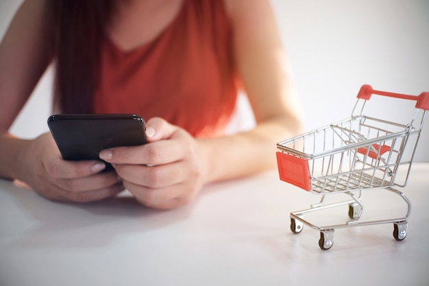 Frau und kleiner Einkaufswagen mit Laptop für Internet-on-line-Einkaufskonzept.