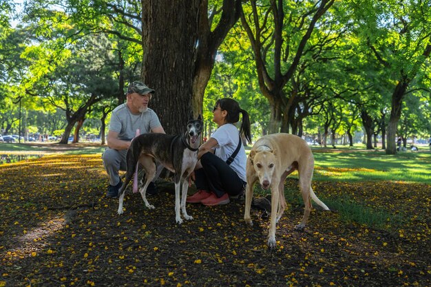 Frau und Mann sitzen auf dem Feld mit Hunden