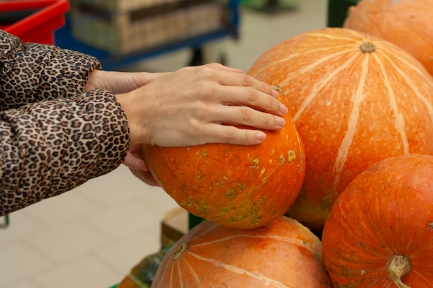 Foto frau wählt einen kürbis im supermarkt