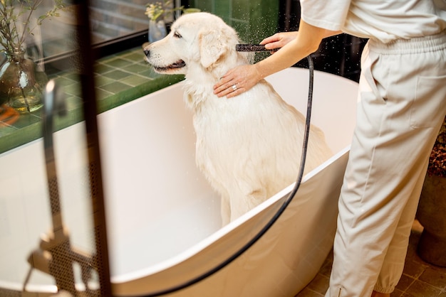 Frau wäscht ihren Hund zu Hause in der Badewanne