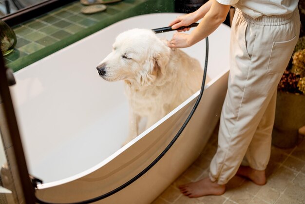 Frau wäscht ihren Hund zu Hause in der Badewanne