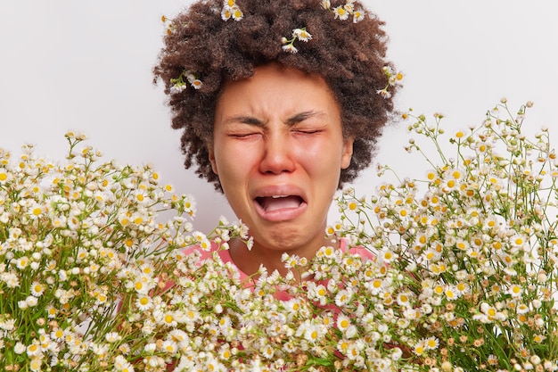 Foto frau weint aus verzweiflung leidet unter unangenehmen symptomen hat rote geschwollene augen, umgeben von kamille-allergieauslöser drückt negative emotionen aus posiert drinnen