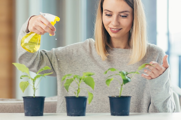 Frau zu Hause kümmert sich um Blumentöpfe gießt Blumen am Tisch sitzend