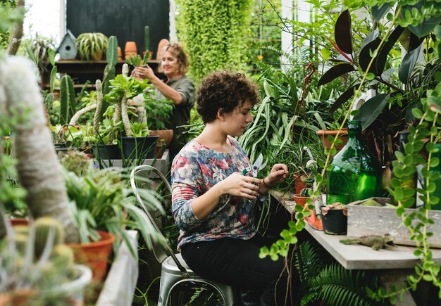 Frauen arbeiten in einem Gartenladen