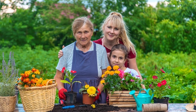 Frauen Großmutter und Enkelin pflanzen Blumen im Garten Selektiver Fokus