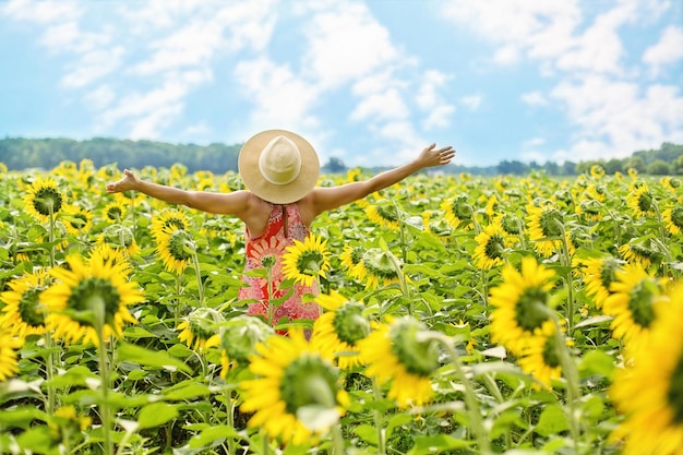 Frauen in Sonnenblumen-Faich