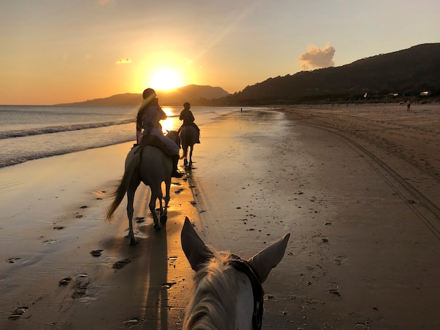 Frauen-Selfie, die auf einem Pferd am Strand reitet