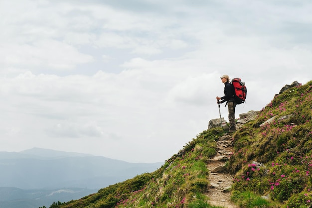 Frauen wandern mit Rucksack mit Trekkingstöcken Blick auf den Himmel