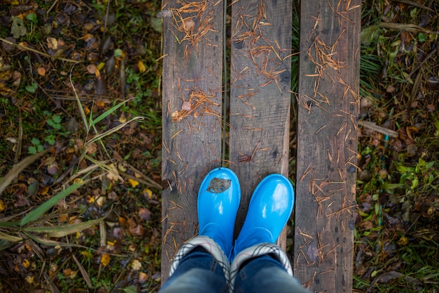 Frauenbeine in den blauen Gummistiefeln gegen hölzerne Planken auf Herbstlaubhintergrund