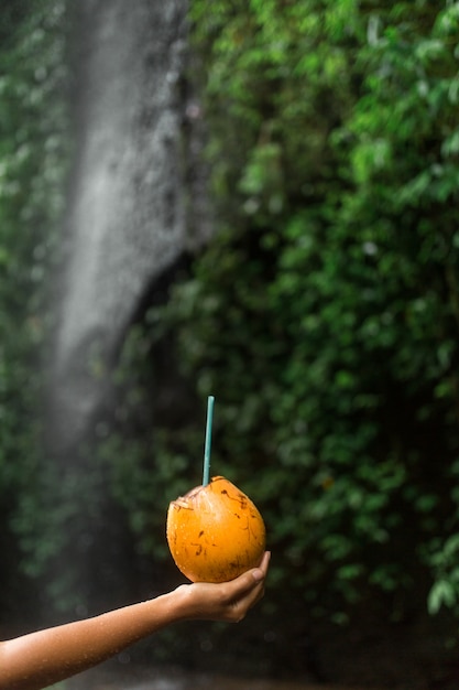 Frauengriff-Kokosnussgetränk in der Hand nahe bei Wasserfall.