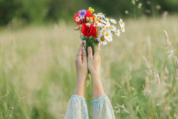 Frauenhände halten Mohn-Gänseblümchen und Kornblumenstrauß auf dem Feld am Abend im Sommer, Nahaufnahme. Atmosphärischer Moment. Junge Frau sammelt Wildblumen auf der Wiese. Einfaches Landleben