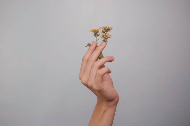 Frauenhände mit Blumen auf blauem Hintergrund