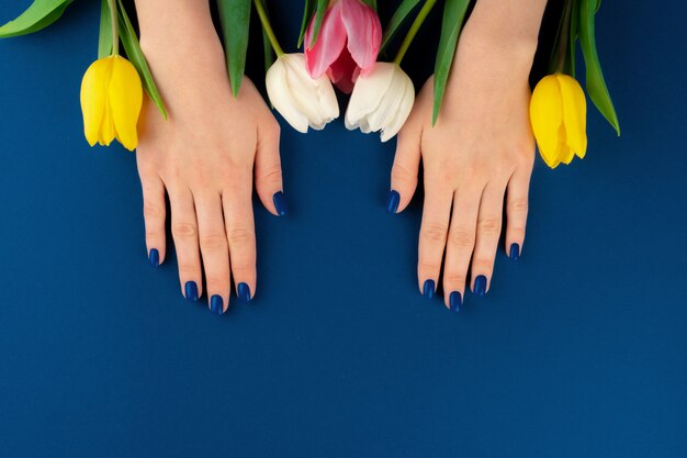 Frauenhände mit Maniküre, die bunte Tulpen auf blauem Hintergrund hält