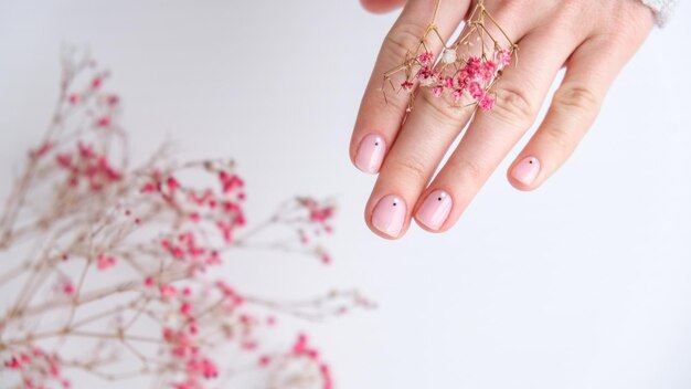 Frauenhände mit schöner nackter Maniküre, die zarte rosa Gypsophila- oder Babyatemblumen hält. Weibliche Maniküre, natürliches Aussehen. Nagelpflege. Selbstpflege. SPA- und Beauty-Konzept