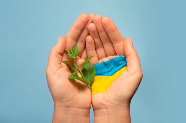 Frauenhände mit ukrainischer Flagge, die junge Pflanzen halten, helfen den Ukrainern