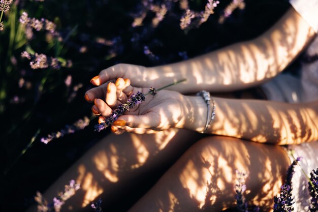 Frauenhand berührt Lavendel in den Händen mit einem schönen Maniküre-Lavendel in weiblichen Händen