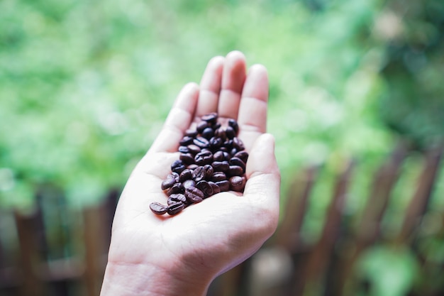 Frauenhand, die Kaffeebohnen und eine Tasse Kaffee hält