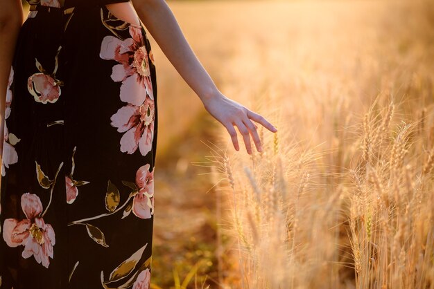 Frauenhand, die reife goldene Gerste oder Weizenohr bei Sonnenuntergang berührt