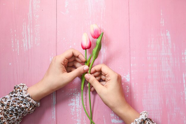 Frauenhand, die Tulpenblume auf rosa Raum hält