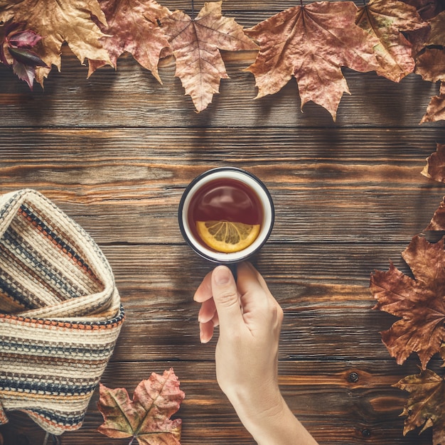 Foto frauenhand hält für saison schwarzen schwarzen herbstmode des schwarzen tees