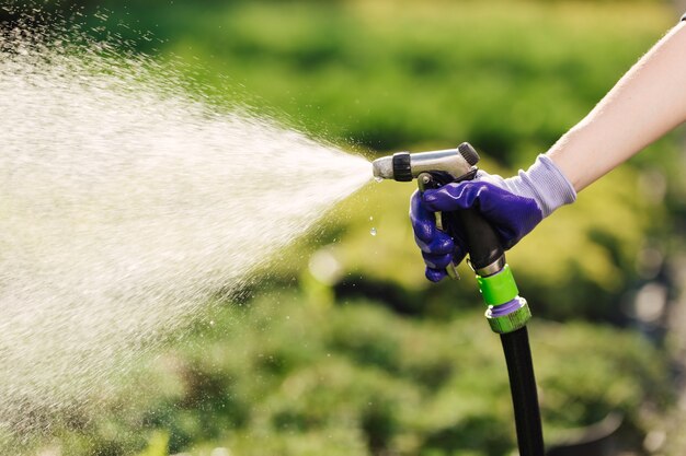 Frauenhand mit Gartenschlauch Bewässerungsanlagen, Gartenkonzept.