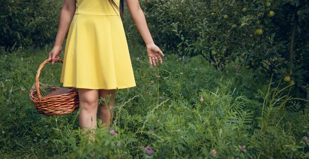 Frauenhandkorb im Garten