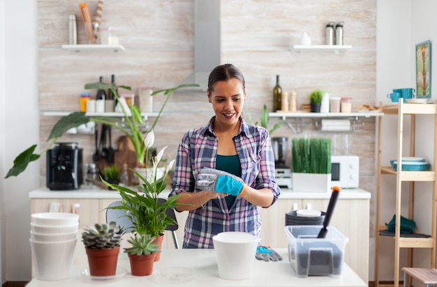 Frauenhausbepflanzung in der Küche mit Gartenhandschuhen