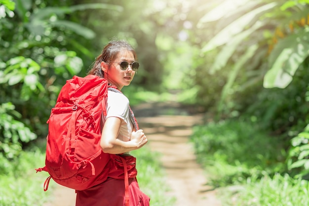 Frauenreisender mit Rucksack im Wald