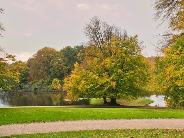 Frederiksborg Castle Park no outono com poderosas árvores de folha caduca nos prados do jardim