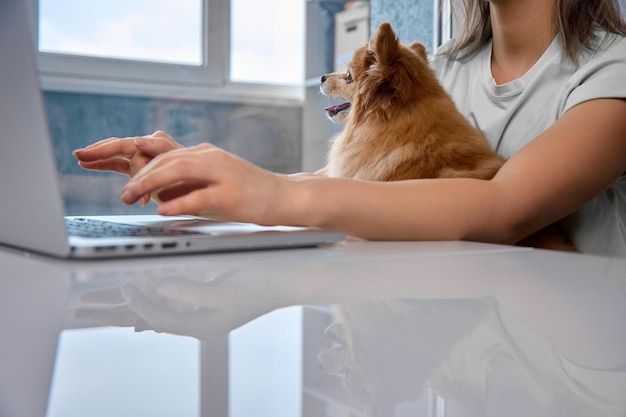 Freelancer moderno trabaja en casa en un ambiente cómodo y como mascota favorita