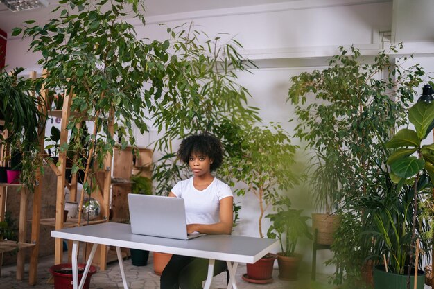 Freelancer muito africana trabalhando digitando no computador portátil sentado na mesa na sala de escritório em casa com design moderno de biofilia