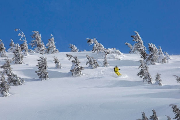 Freeride-Snowboarden bietet eine adrenalingeladene Fahrt durch unberührte Tiefschneehänge