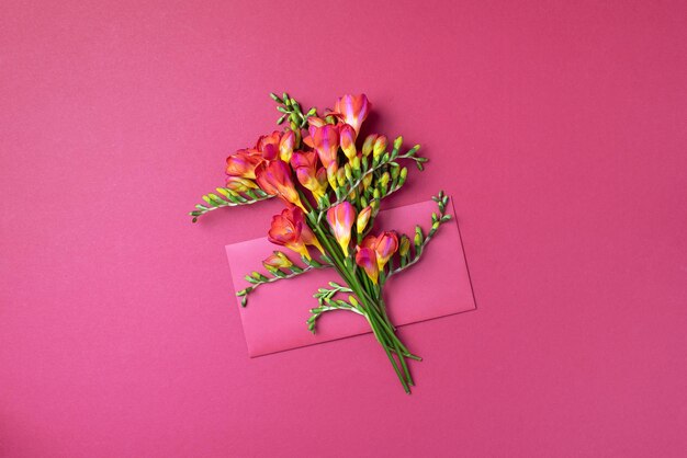 Freesie Frühlingsblumen auf rosa Hintergrund Flache Ansicht von oben Frühlings- und Sommerkonzept Frauentag Kreatives Layout