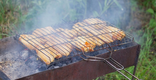 Freír brochetas de pollo a la parrilla Picnic en la naturaleza