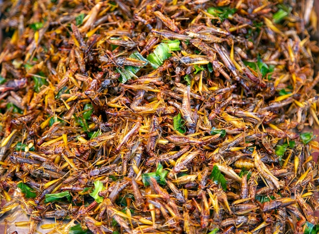 Freír la tolva de hierba con vegetales en la comida callejera de bocadillos tailandeses. El gusano es nutrición proteica