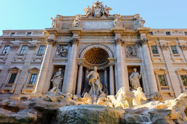 Frente a Fontana di Trevi Roma Abril de 2016