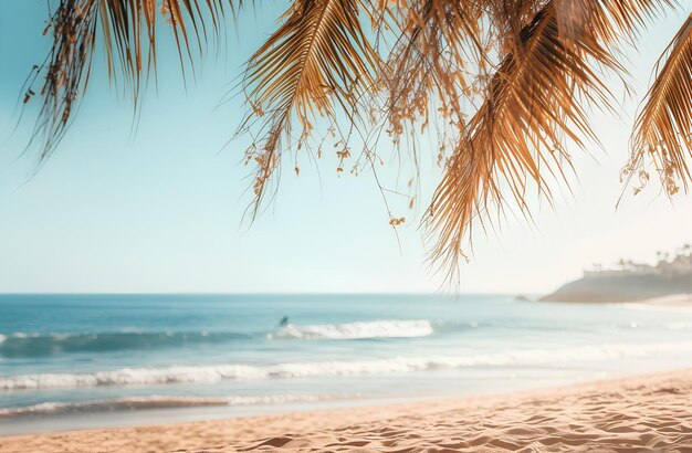 Frente a la playa con palmeras y un océano en el estilo de suave