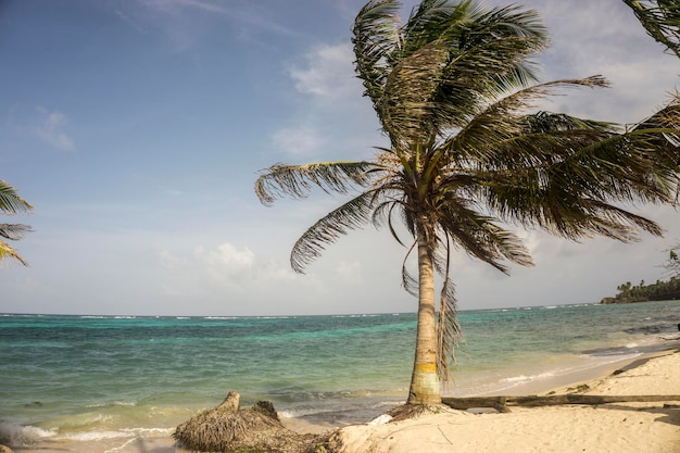 Frente a la playa tropical